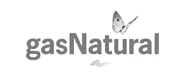 Gas Natural app sector energia