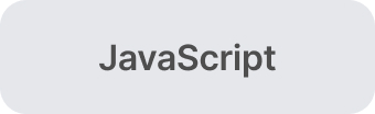 JavaScript JavaScript